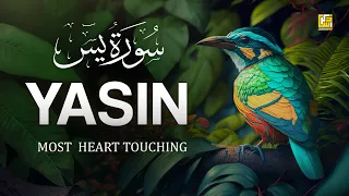 World S Most Beautiful Quran Recitation Of Surah Yasin Yaseen سورة يس Zikrullah TV 