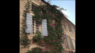                                                                                دندنها