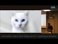 Arda Aytekin Cython Static Typing and Interfacing in C Python