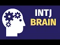 How The INTJ Brain Works INTJ Cognitive Functions Explained