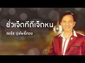 ชั่วเจ็ดทีดีเจ็ดหน - สดใส รุ่งโพธิ์ทอง (Official Audio)