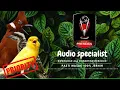 Download Lagu kenari pelatuk - cililin suara masteran terbaik bedakan