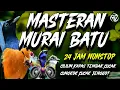 Download Lagu Masteran Murai Batu 24 Jam Nonstop | Isian Cililin, Kapas Tembak, Cucak Cungkok \u0026 Cucak Jenggot