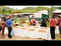 Download Lagu Harvesting 1000+ Chicken Eggs - Use Truck To Transport Many Chicken Eggs Go To Market Sell