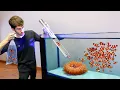 Download Lagu Adding 500x Clownfish to Anemone with BIG Clear Slide, This Happened...