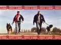 Download Lagu Strawelte en de Hunekop - De Herder en de Wetterhûn