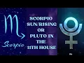Pluto or Scorpio in the 11th House Collective Consciousness Friendships etc