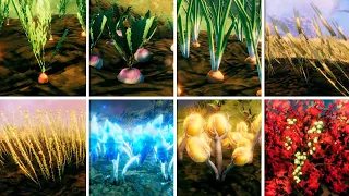 The ULTIMATE Guide to Farming in Valheim
