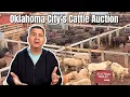 Inside the OKC Stockyards The Oldest American Cattle Auction