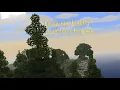 A Field Guide to Custom Trees and Forests