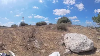                                   دندنها