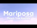 Download Lagu Peach Tree Rascals - Mariposa (Acoustic) (lyrics)