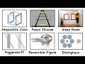 Download Lagu Every Optical Illusion in 8 Minutes