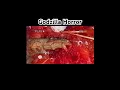 Download Lagu Godzilla Analog Horror Story