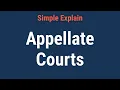 What Are Appellate Courts How They Work Functions and Example