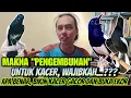 Download Lagu AWAS, JANGAN ASAL EMBUN ⁉️ TERNYATA BEGINI FUNGSI PENGEMBUNAN AGAR KACER GACOR DAN BUKA EKOR