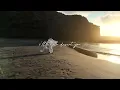 NOURI - Change in Your Name (Lyric Video)
