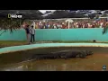 Download Lagu Lolong - Documentary