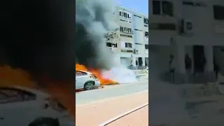 انتم لا تعلمون من نحن  نحن عشاق الشهادة نموت فداء الوطن  دندنها