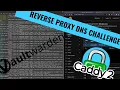 Caddy reverse proxy SSL certificate via DNS challenge for Vaultwarden