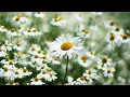 I Believe (My Sassy Girl OST) - Shin Seung Hoon - Instrumental