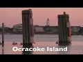The Amazing Wildlife on Ocracoke Island North Carolina Naturally
