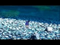 「ＡＭＶ」ᴴᴰ Naruto ▪ Madara and Hashirama ▪ Still Worth Fighting For