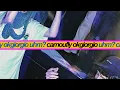 camoufly, okgiorgio - uhm?