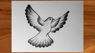 Easy Pigeon Drawing Dove Drawing International Peace Day Special Drawing CreativityStudio 
