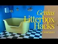 10 Creative Litter Box Setups for Small Apartments NYC Edition