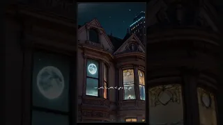 حبيب زمان و كمان حبيب بعدين اليسا اكسبلور حالات واتس اغاني اغاني عربية ترند لايك اشتراك 