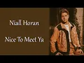 Niall Horan - Nice To Meet Ya (Lyrics)