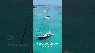 What is YOUR DREAM LIFE? #ItsAPiratesLifeForMe #shorts