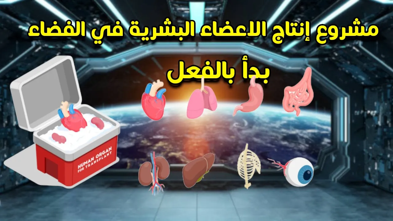 ليه العلماء بينتجوا الأعضاء البشرية في الفضاء في محطة الفضاء الدولية
