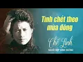 Lagu Chế Linh - Tình Chết Theo Mùa Đông