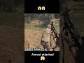 Download Lagu Lion almost attacked on shooters but get shooted #discovery #youtubeshorts #animalhunting #shooting