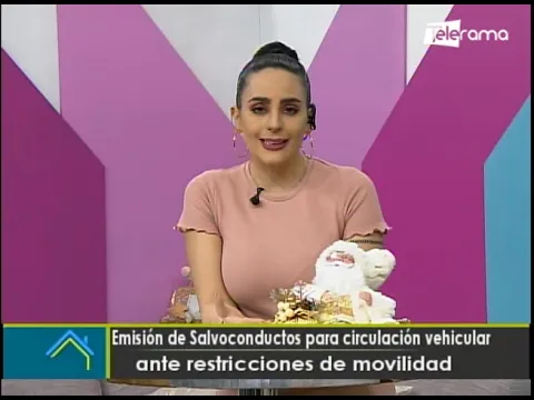Emisión de salvoconductos para circulación vehicular ante restricciones de movilidad