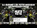 Download Lagu DJ BURUNG LAH PUTIH MARADAI REMIX LAMPUNG | DJ REMIX LAMPUNG LAGU MINANG VIRAL TIKTOK 2024