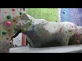 Planet Rock Madison Heights Walkthrough