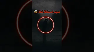 صوت القطه الي كانت تستغيث 