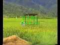 Download Lagu Lagu kerinci rami balai