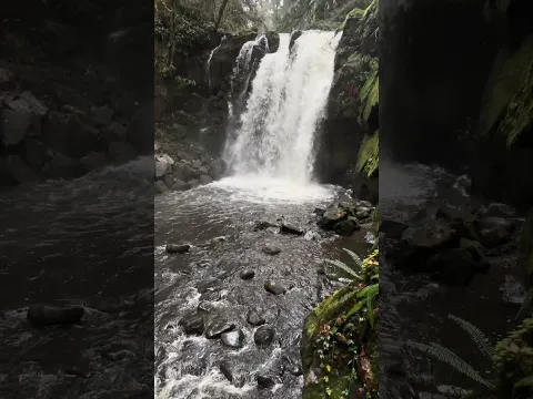 Happy Waterfall Wednesday 🥰 Majestic Falls, McDowell Creek Falls Park, Lebanon OR #oregon #water