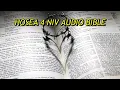 HOSEA 4 NIV BIBLE with text