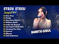 Download Lagu Shinta Gisul - STECU STECU - GERIGIS - GARA GARA SEBOTOL || KOPLO VIRAL TERBARU 2025