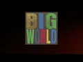 Hovvdy - You Will Go Far (lyrics)