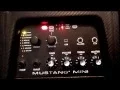 Fender Mustang Mini guitar amplifier demo and detailed tour