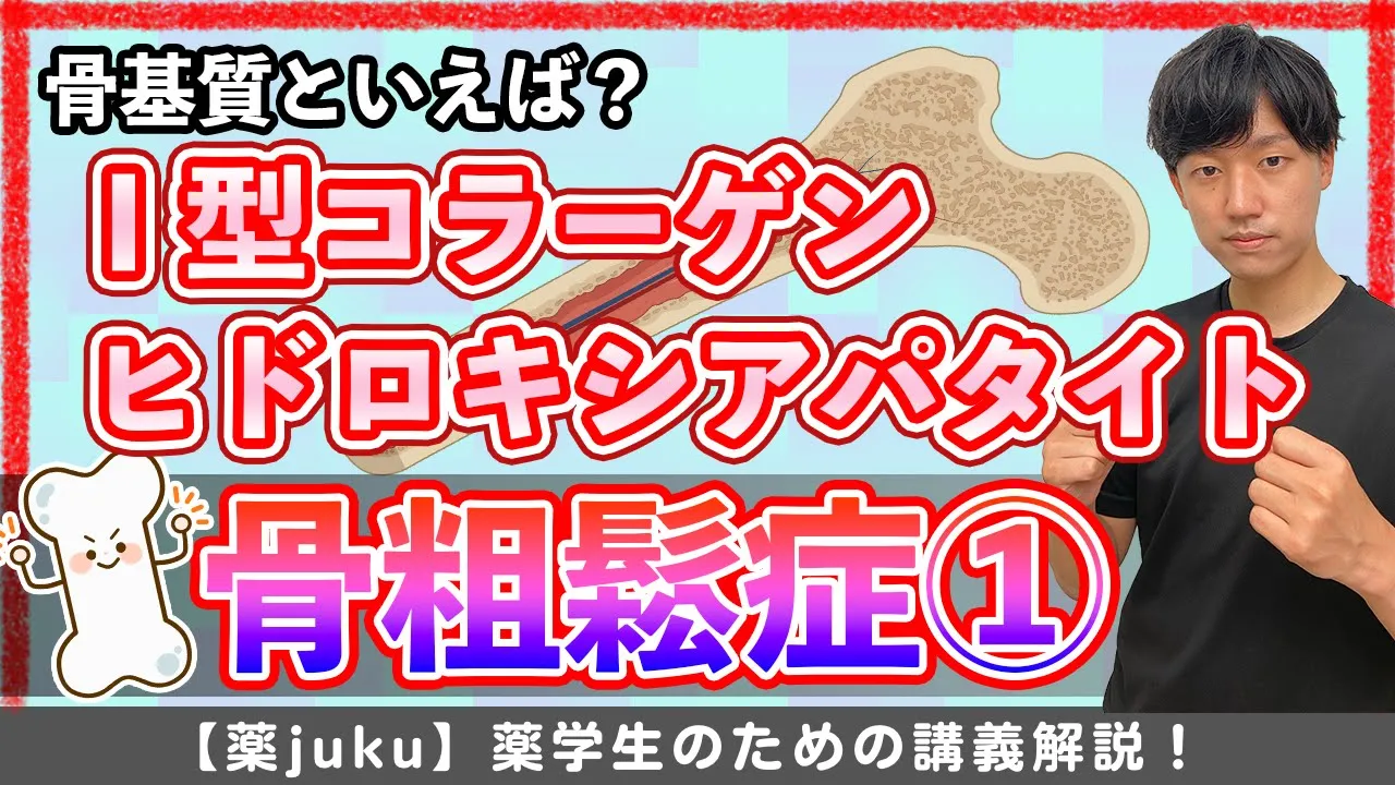 【「骨基質」の理解が今後に響く!】Ⅰ型コラーゲンとヒドロキシアパタイト