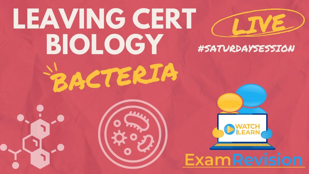 Leaving Cert Biology - Bacteria 🦠🧫