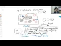 H2 P1 Artificial Potential Field Introduction