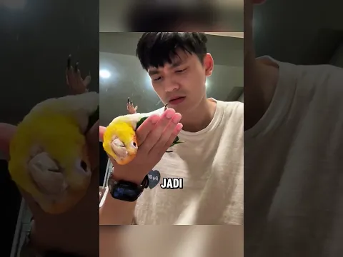 Burung beo ini melakukan sesuatu yang mengejutkan 😂
